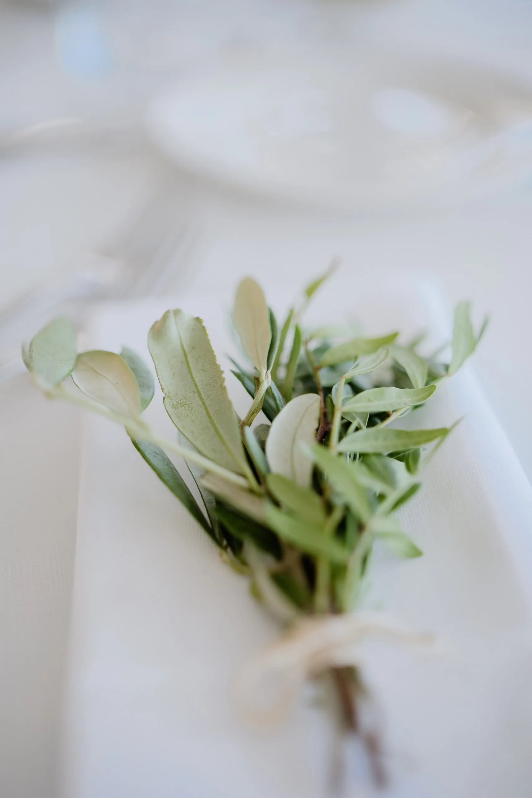 Un brin de verdure noué sur un verre, en gros plan